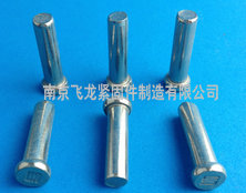 304带字实心铆钉w 304带字实心铆钉w