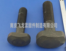 高强度T型螺栓w 高强度T型螺栓w